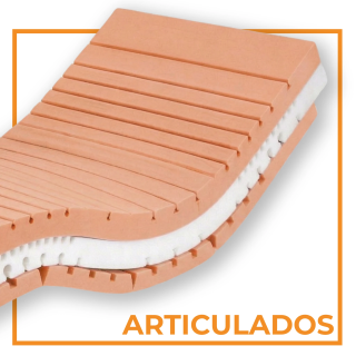 Articulados