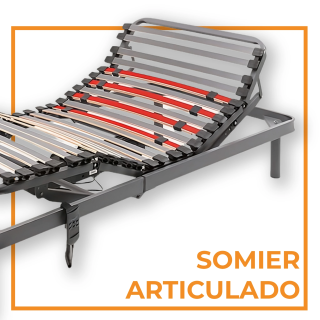 Somier Articulado