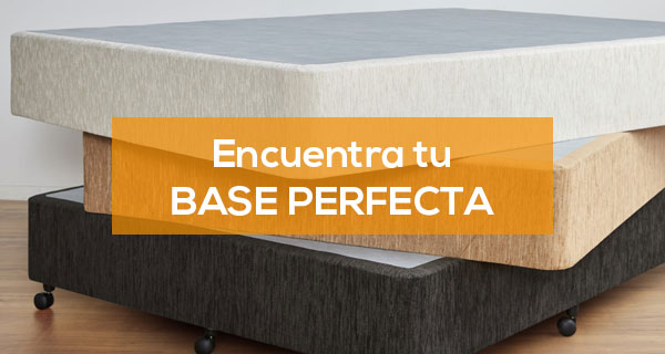 Encuentra tu base perfecta